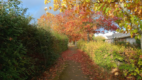 L'automne à Saint Barthélemy d'Anjou