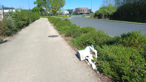 La surprise du jour sur une piste cyclable à Trélazé
