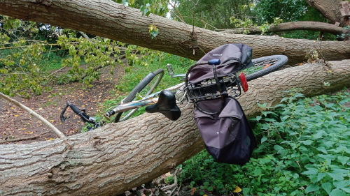 Un arbre en travers du chemin ce n'est jamais un problème