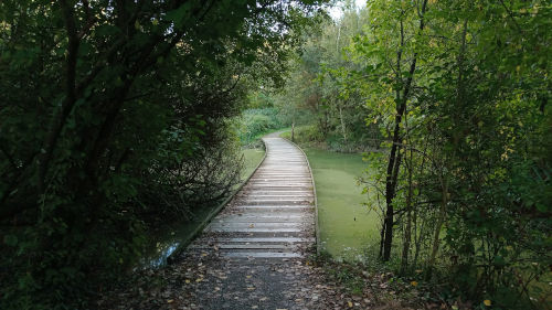 Le marais du petit rocher à Trélazé