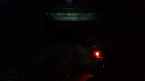 Balade à vélo en pleine nuit et en pleine nature