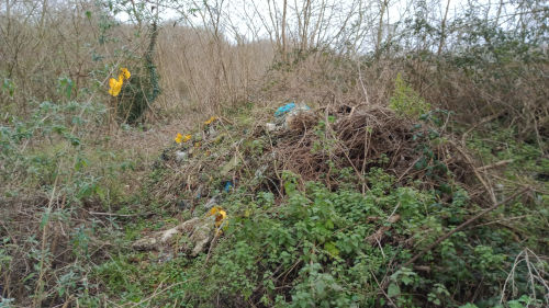 Les Ponts de Cé: 2 ans que ce dépôt sauvage est là