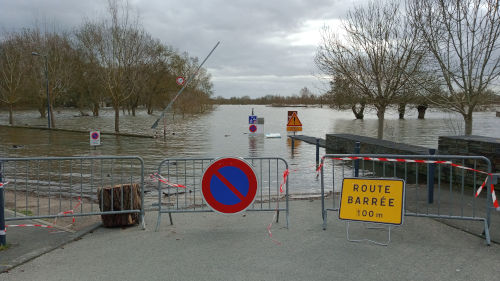8 photos de la Sarthe en crue à Ecouflant