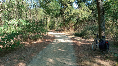 Balade au parc des Sablières à Ecouflant