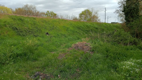 Trélazé: Le coin est enfin propre