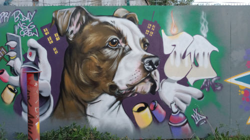 Le plus beau chien du monde en graffiti