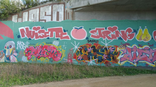 De superbes graffitis à Angers