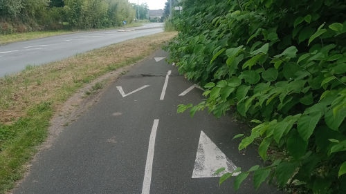 Les joies d'être cycliste dans la métropole d'Angers