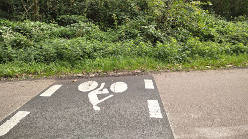 A Angers ils ont inventé la piste cyclable pour les chevreuils
