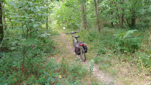 A vélo en pleine nature quand il fait trop chaud