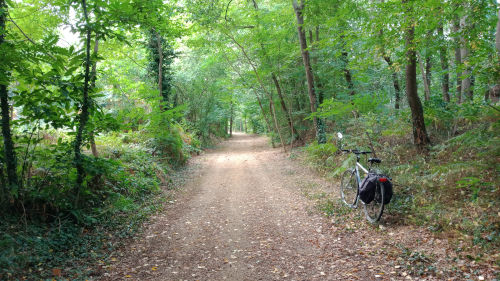 A vélo en pleine nature