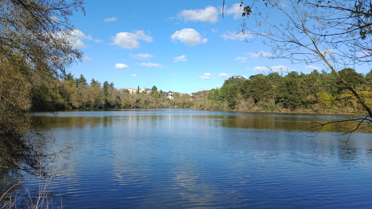 Balade 100% nature dans le plus bel endroit d'Angers
