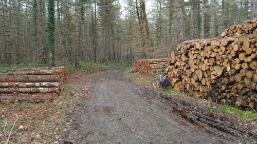 A vélo en campagne