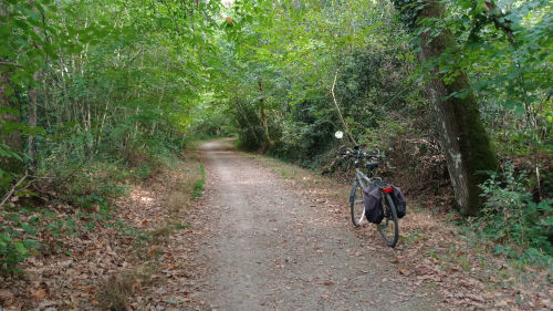 Le paradis de nature de Beaucouzé