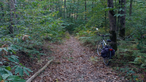 A vélo dans la forêt communale de Saint Barthélemy d'Anjou