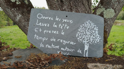 Le plus beau message de la semaine