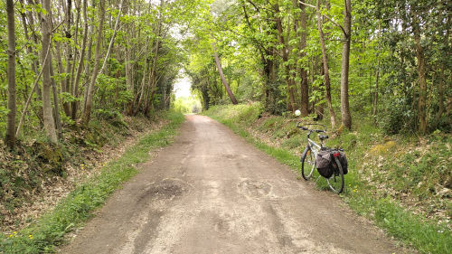 A vélo dans la forêt de Briançon à Bauné