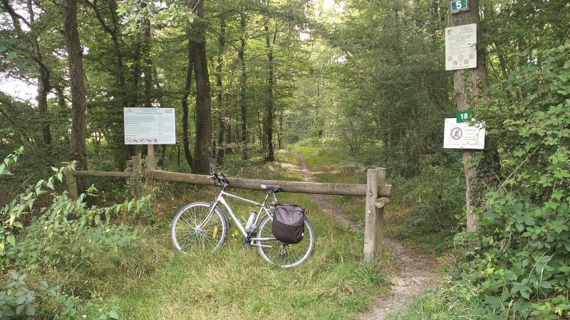 A vélo en forêt dans les environs d'Angers