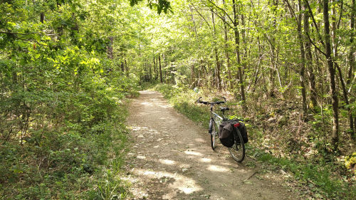 Parcours vélo d'Angers à la forêt de Briançon à Bauné